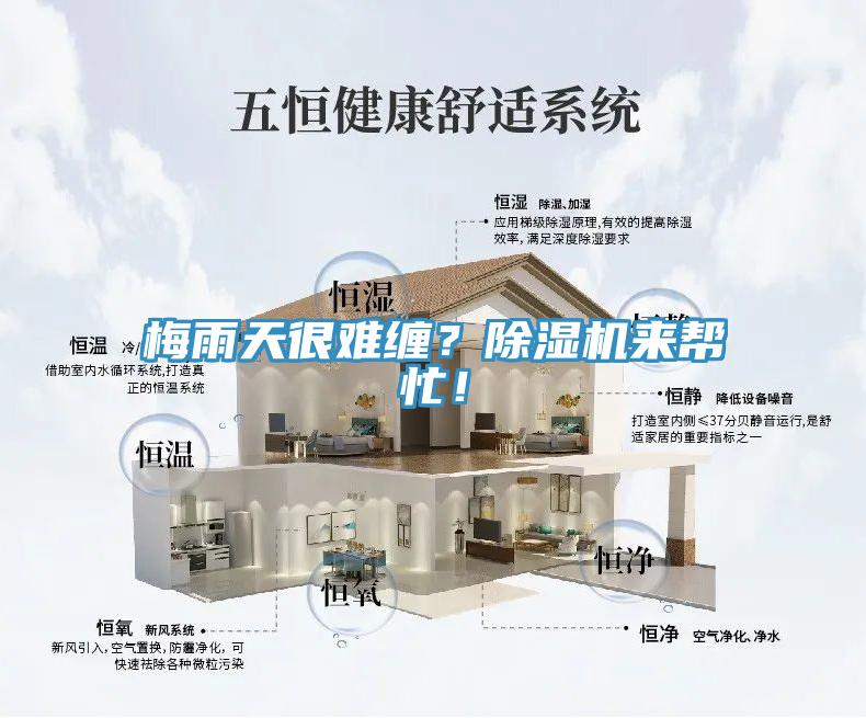 梅雨天很難纏？除濕機來(lái)幫忙！