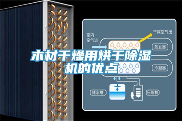 木材干燥用烘干除濕機的優(yōu)點(diǎn)