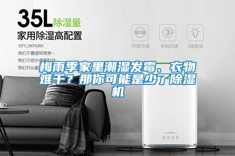 梅雨季家里潮濕發(fā)霉、衣物難干？那你可能是少了除濕機