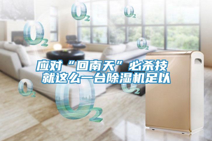 應對“回南天”必殺技 就這么一臺除濕機足以
