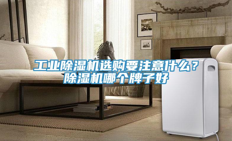工業(yè)除濕機選購要注意什么？除濕機哪個(gè)牌子好