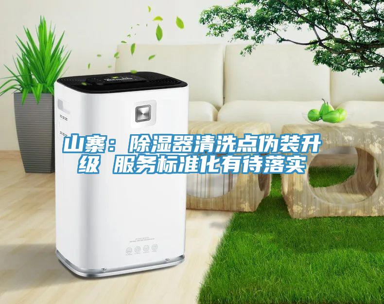 山寨：除濕器清洗點(diǎn)偽裝升級 服務(wù)標準化有待落實(shí)
