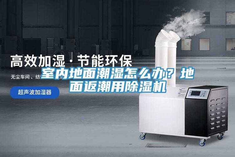 室內地面潮濕怎么辦？地面返潮用除濕機