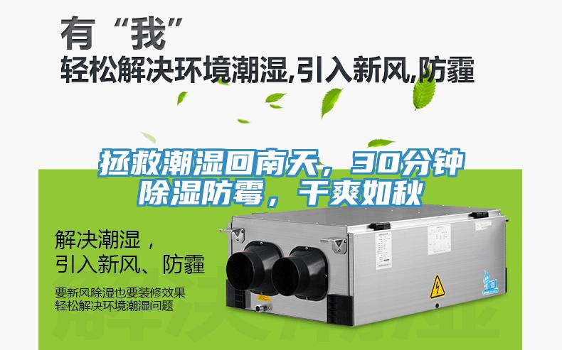 拯救潮濕回南天，30分鐘除濕防霉，干爽如秋