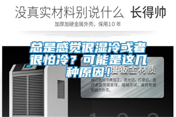 總是感覺(jué)很濕冷或者很怕冷？可能是這幾種原因！