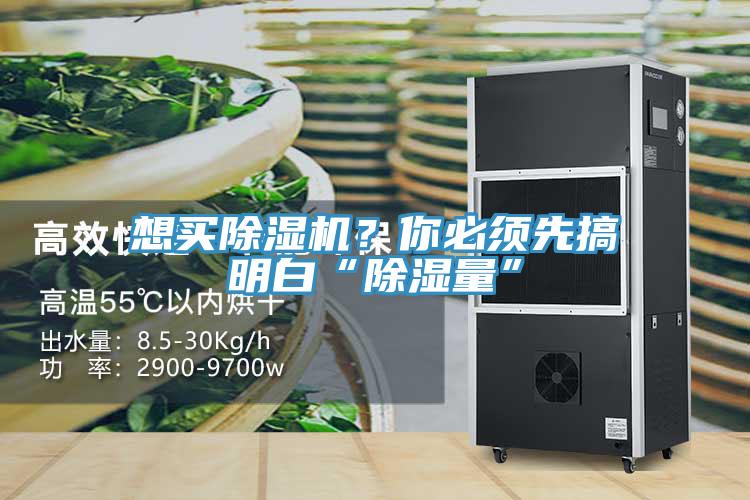 想買(mǎi)除濕機？你必須先搞明白“除濕量”
