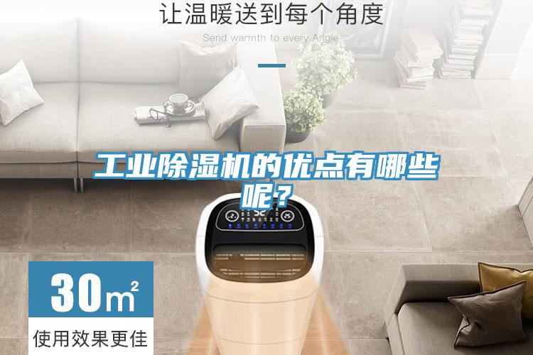 工業(yè)除濕機的優(yōu)點(diǎn)有哪些呢？