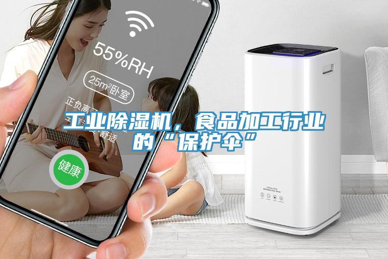 工業(yè)除濕機，食品加工行業(yè)的“保護傘”