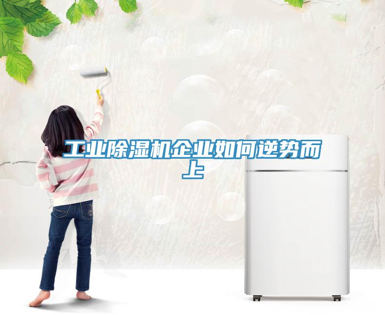 工業(yè)除濕機企業(yè)如何逆勢而上
