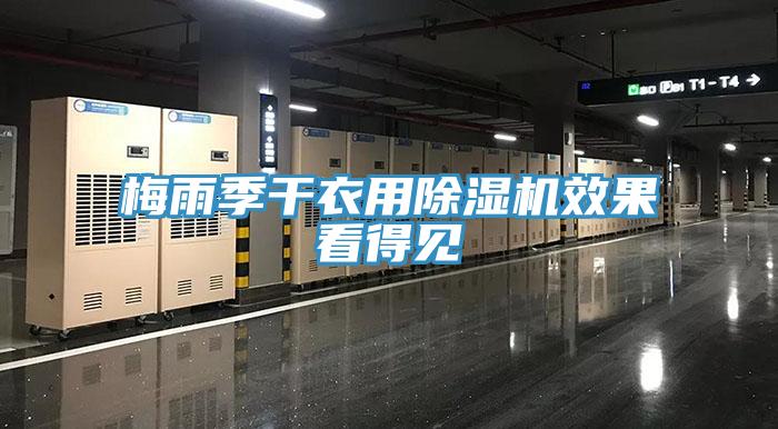 梅雨季干衣用除濕機效果看得見(jiàn)