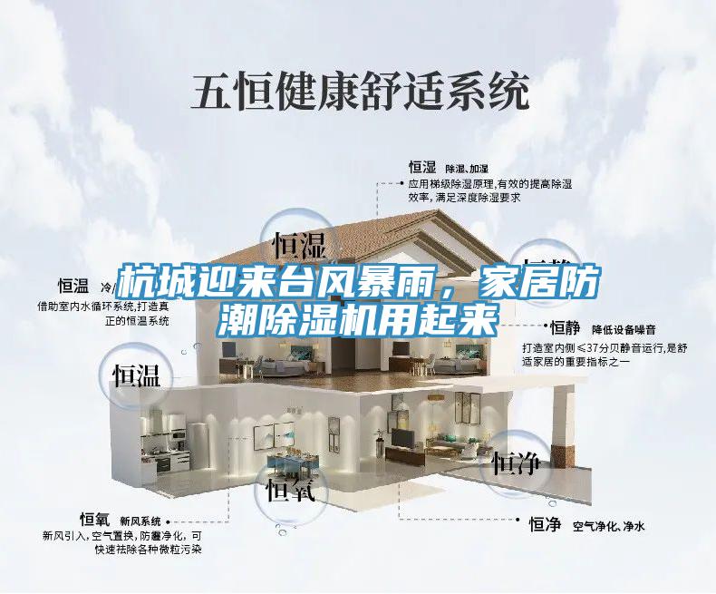 杭城迎來(lái)臺風(fēng)暴雨，家居防潮除濕機用起來(lái)