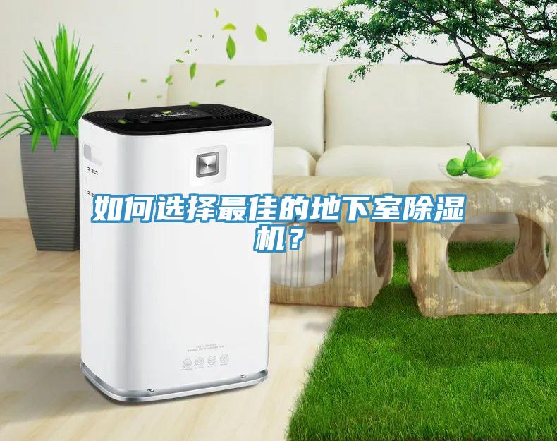 如何選擇最佳的地下室除濕機？