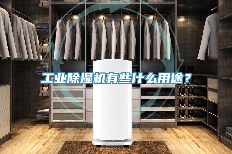 工業(yè)除濕機有些什么用途？