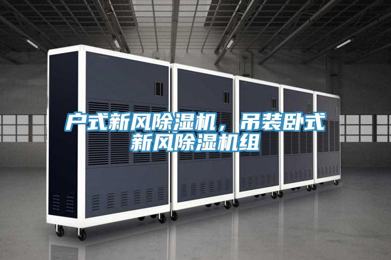 戶(hù)式新風(fēng)除濕機，吊裝臥式新風(fēng)除濕機組