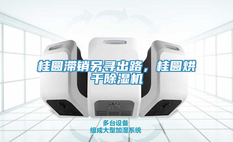 桂圓滯銷(xiāo)另尋出路，桂圓烘干除濕機