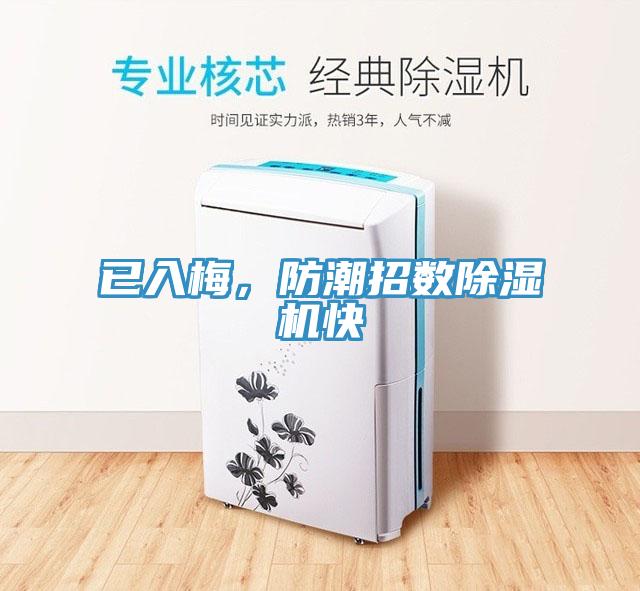 已入梅，防潮招數除濕機快