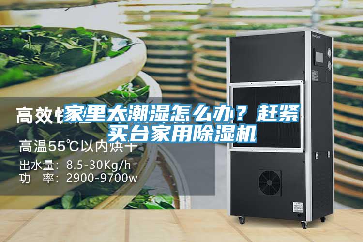 家里太潮濕怎么辦？趕緊買(mǎi)臺家用除濕機