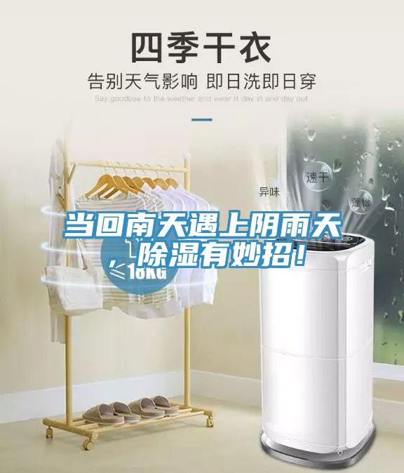 當回南天遇上陰雨天，除濕有妙招！