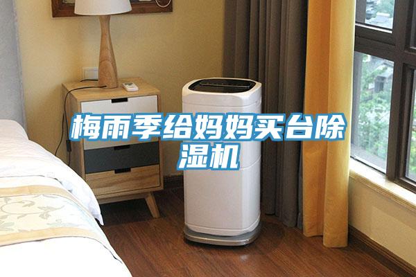 梅雨季給媽媽買(mǎi)臺除濕機