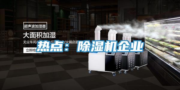 熱點(diǎn)：除濕機企業(yè)