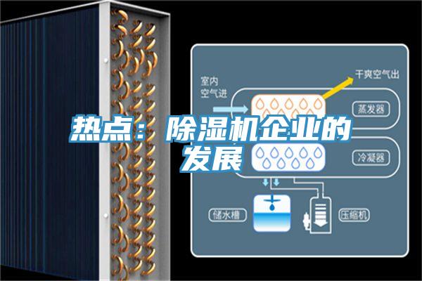 熱點(diǎn)：除濕機企業(yè)的發(fā)展
