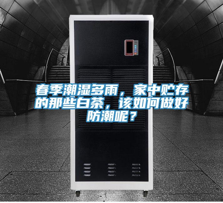 春季潮濕多雨，家中貯存的那些白茶，該如何做好防潮呢？