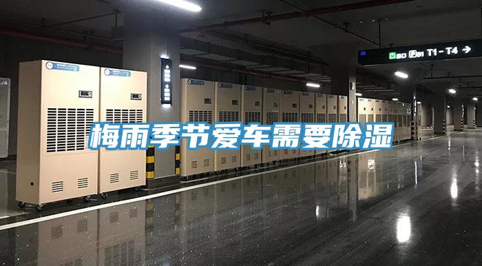 梅雨季節愛(ài)車(chē)需要除濕