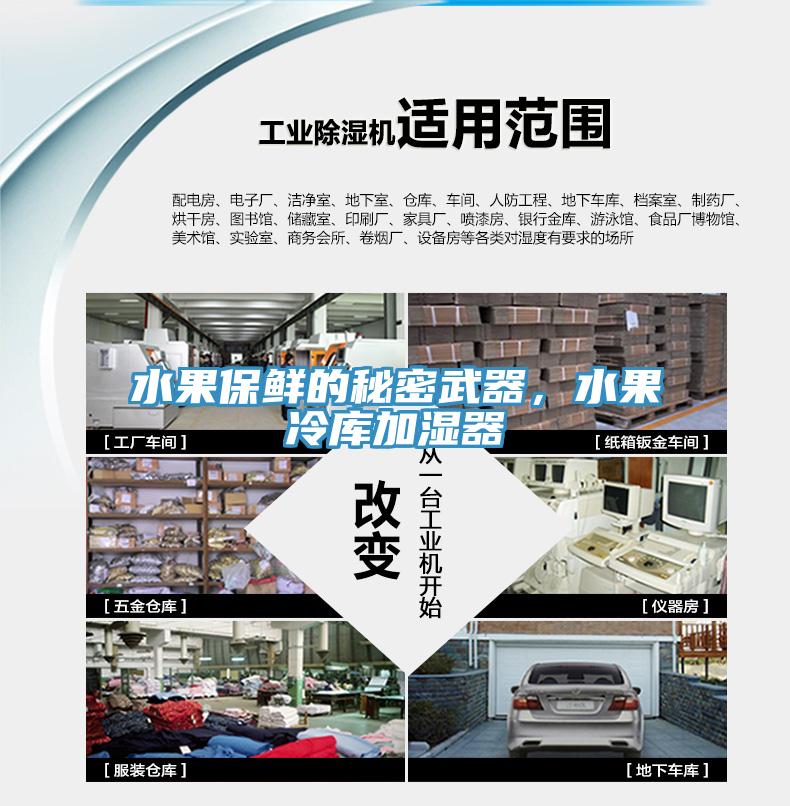 水果保鮮的秘密武器，水果冷庫加濕器