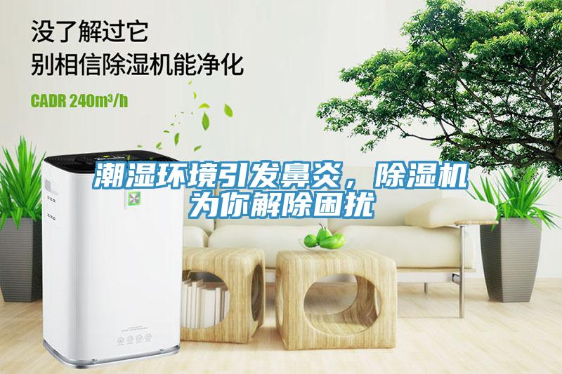 潮濕環(huán)境引發(fā)鼻炎，除濕機為你解除困擾