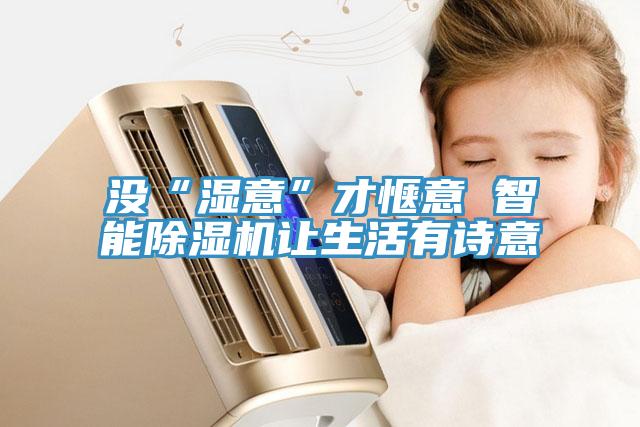 沒(méi)“濕意”才愜意 智能除濕機讓生活有詩(shī)意
