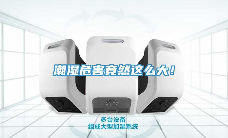 潮濕危害竟然這么大！