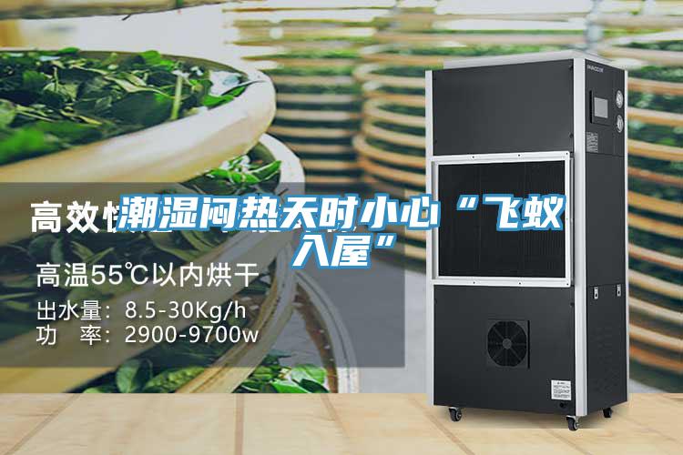 潮濕悶熱天時(shí)小心“飛蟻入屋”