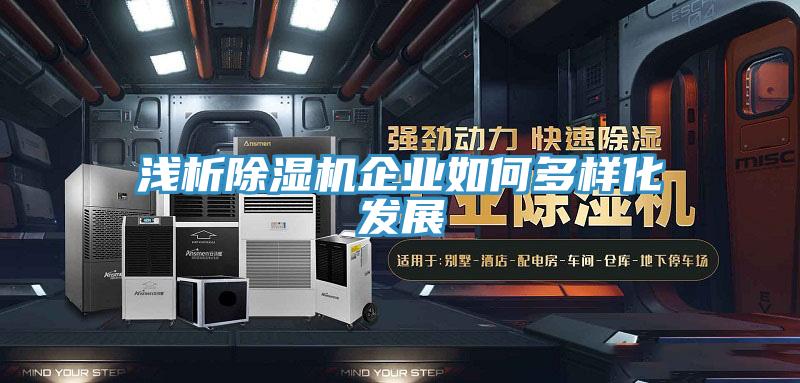 淺析除濕機企業(yè)如何多樣化發(fā)展
