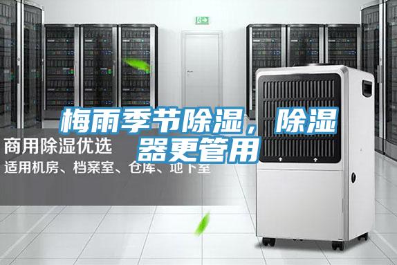梅雨季節除濕，除濕器更管用