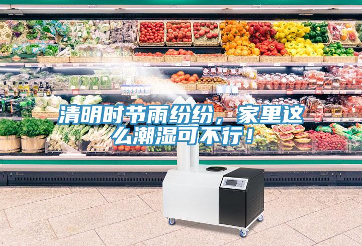 清明時(shí)節雨紛紛，家里這么潮濕可不行！