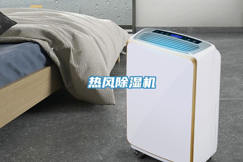 熱風(fēng)除濕機