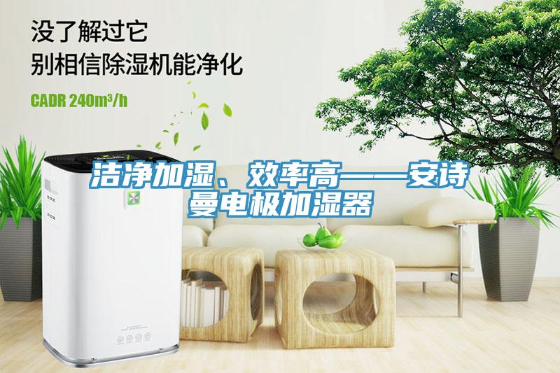 潔凈加濕、效率高——安詩(shī)曼電極加濕器