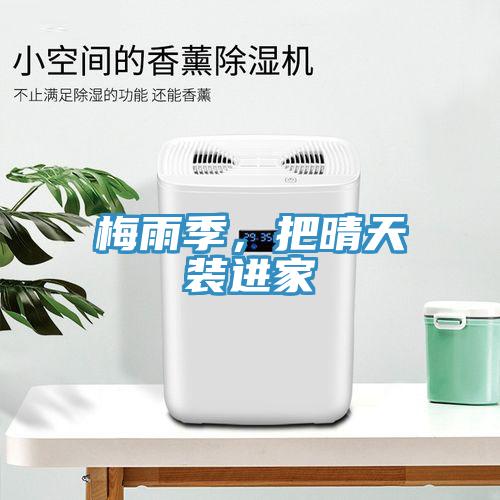 梅雨季，把晴天裝進(jìn)家