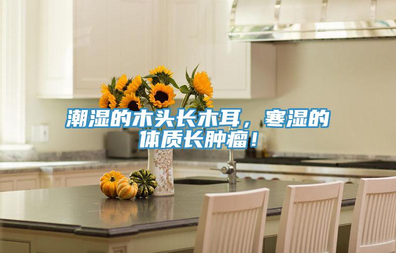 潮濕的木頭長(cháng)木耳，寒濕的體質(zhì)長(cháng)腫瘤！