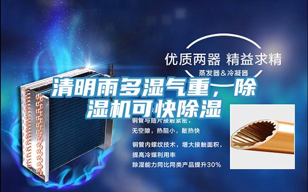 清明雨多濕氣重，除濕機可快除濕