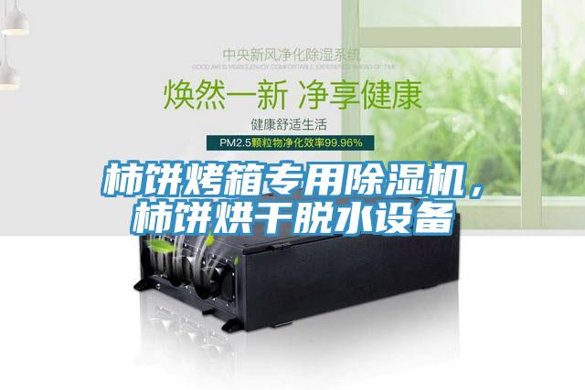 柿餅烤箱專(zhuān)用除濕機，柿餅烘干脫水設備