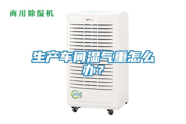 生產(chǎn)車(chē)間濕氣重怎么辦？