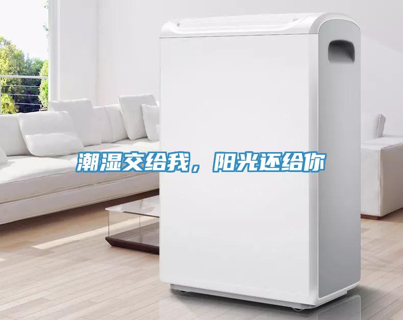 潮濕交給我，陽(yáng)光還給你