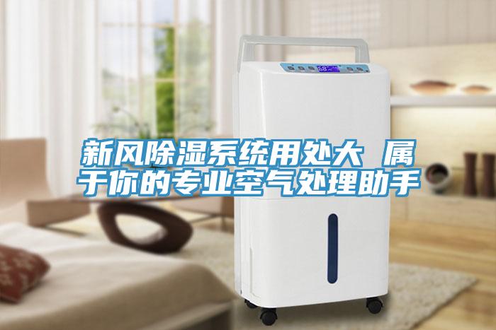 新風(fēng)除濕系統用處大 屬于你的專(zhuān)業(yè)空氣處理助手