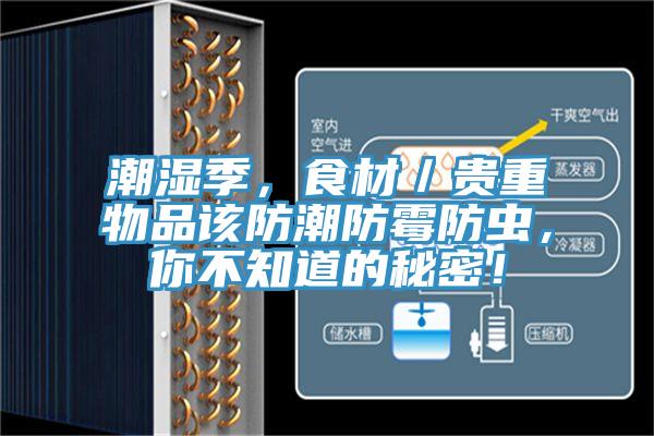 潮濕季，食材／貴重物品該防潮防霉防蟲(chóng)，你不知道的秘密！
