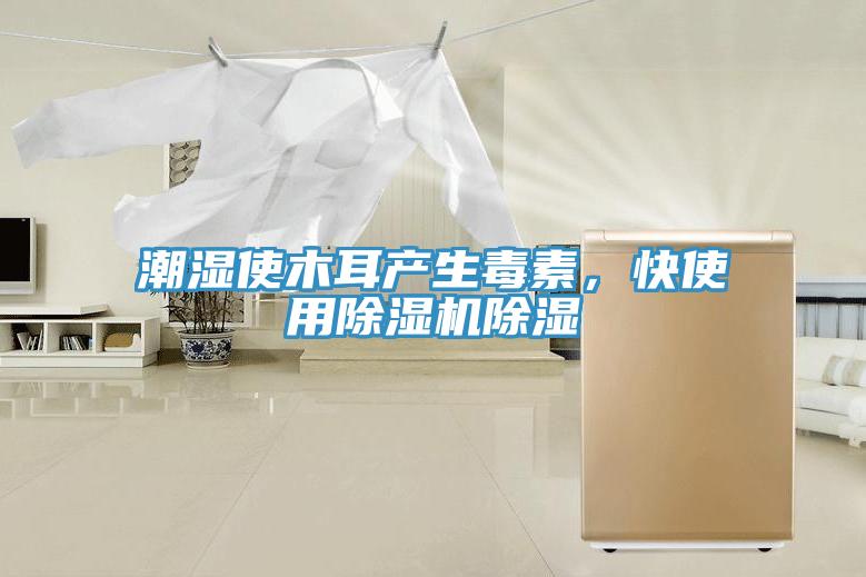 潮濕使木耳產(chǎn)生毒素，快使用除濕機除濕