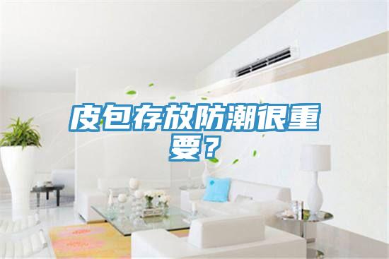 皮包存放防潮很重要？