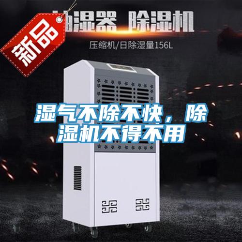 濕氣不除不快，除濕機不得不用