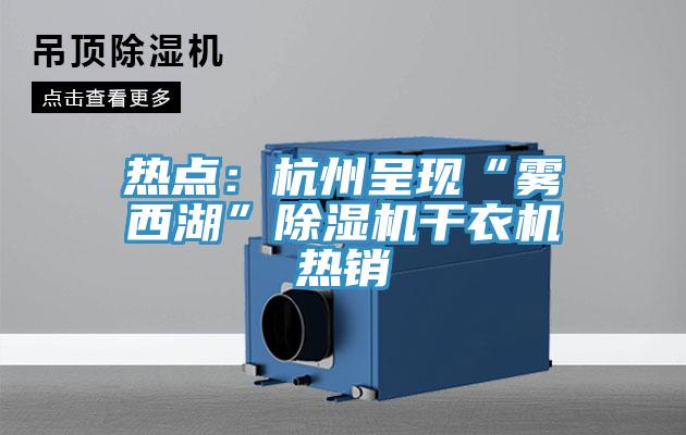 熱點(diǎn)：杭州呈現“霧西湖”除濕機干衣機熱銷(xiāo)