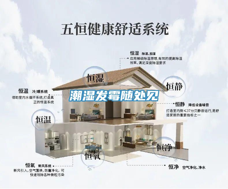 潮濕發(fā)霉隨處見(jiàn)